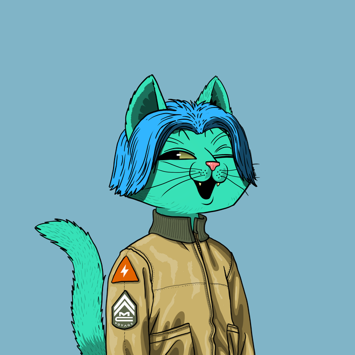 Mars Cats Voyage tweet media