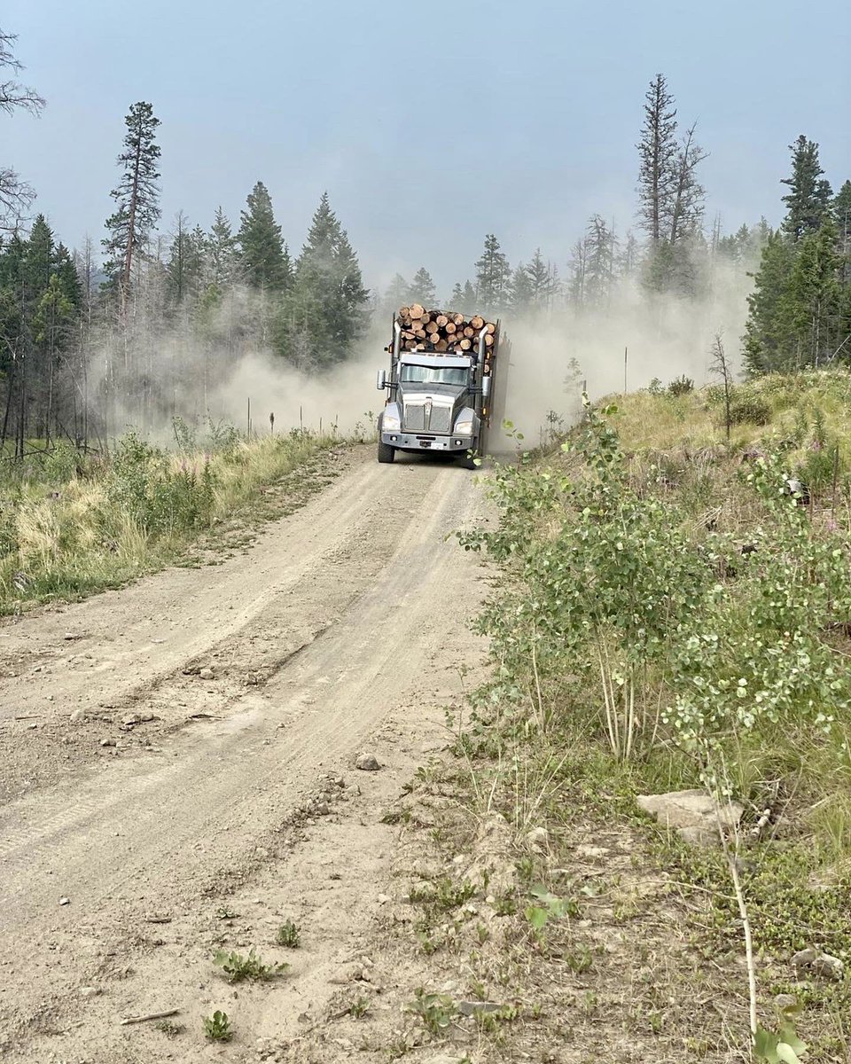 #tripplantuesday 
Will you be on any ‘resource roads’ (RR) soon?

There’s plenty of users;
✔️gravel🚴‍♂️ 
✔️mtn🚲 
✔️4x4🛻 
✔️ATV’s/Quads
✔️van lifers
✔️campers 
✔️hikers 

COMMUNICATION is KEY!
This RR vid shows how to avoid collisions. ⚠️ #begravelsmart 
speakingofsafety.ca/drive-safely-o…