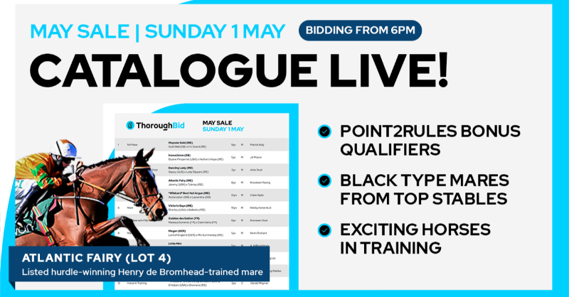 thorough_bid's tweet photo. 🔵 𝑪𝑨𝑻𝑨𝑳𝑶𝑮𝑼𝑬 𝑳𝑰𝑽𝑬! 🔵

28 exciting #MaySale lots to go under our online hammer this Sunday 👇