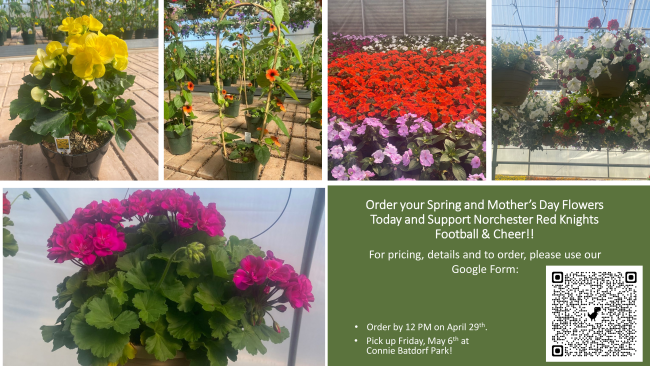 NorchesterRedKnights tweet media