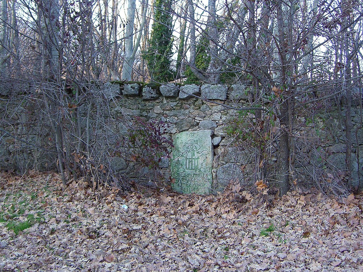 AlymarEdiciones's tweet image. 📸 Piedra blanca y rubia empotrada en la pared del jardín de la Casita del Príncipe (@aytosanlorenzo).

Más imágenes de #DeslindesEscurialenses 📖 en 👉 bit.ly/3LOYhtE

#Madrid #sierranortedemadrid #picoftheday #photo #photooftheday #nature #naturaleza
