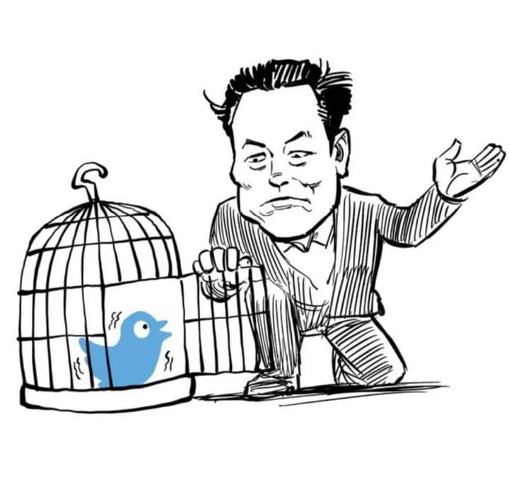 GrandesOficial's tweet photo. #Twitter #LIBERDADE @GrandesOficial https://t.co/ZXzS9XsmcL