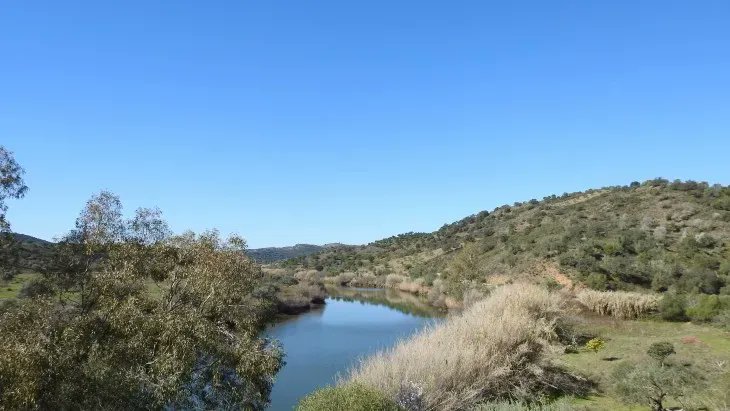 A walk we repeat time and time again thanks to the great views and wonderful wildlife

Explore it here virtually buff.ly/2R8Sm6l

#HikingPortugal #HikingAdventures #HikingAlgarve