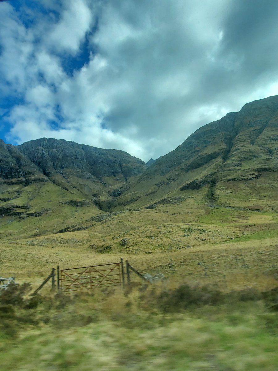 RubberRoss tweet media