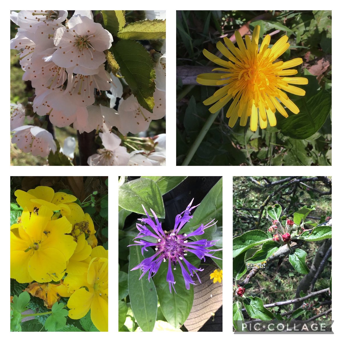 GPSMrsLEvans tweet media