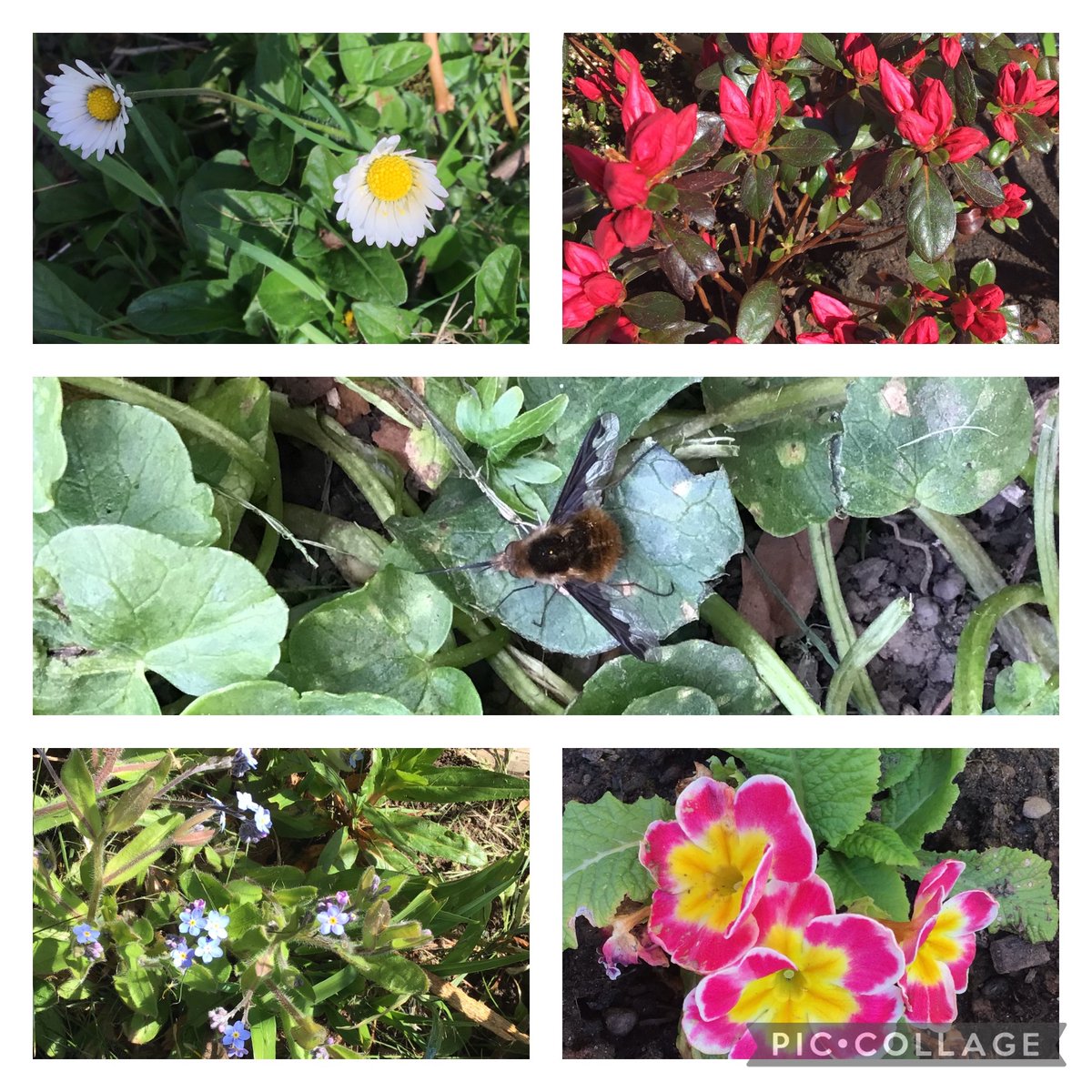 GPSMrsLEvans tweet media