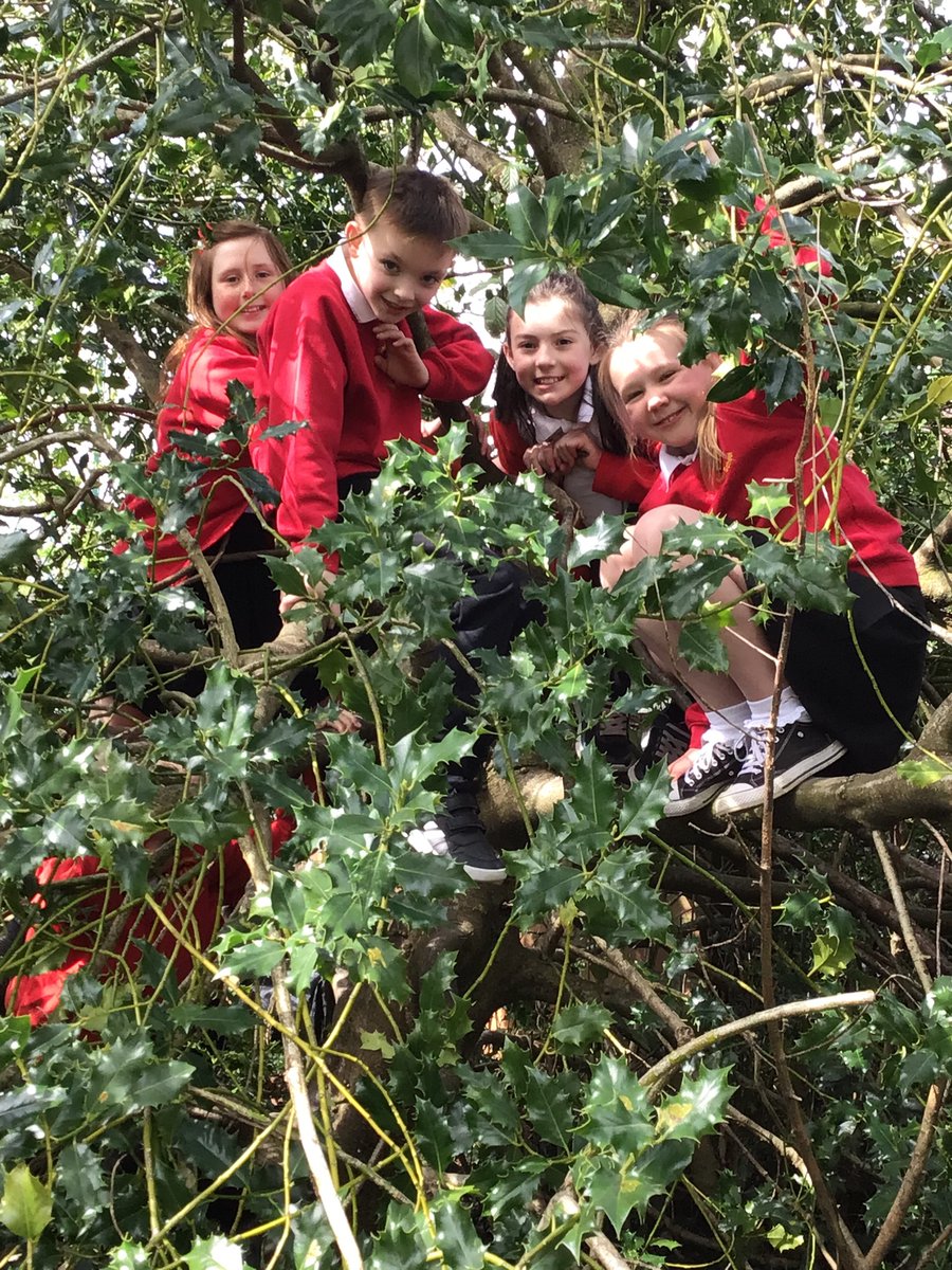 GPSMrsLEvans tweet media