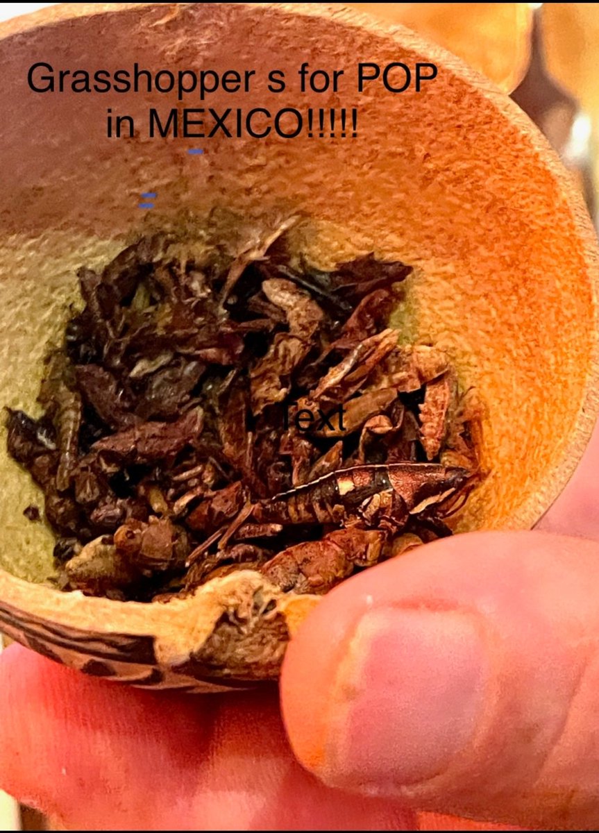 cderic030's tweet photo. My Mom's and Pops are in Mexico right now on a little vacay and this was one of his appetizers he ordered! #countryfile #countryashell #weeatbugs #countryboyscansurvive https://t.co/IehYd15qFe