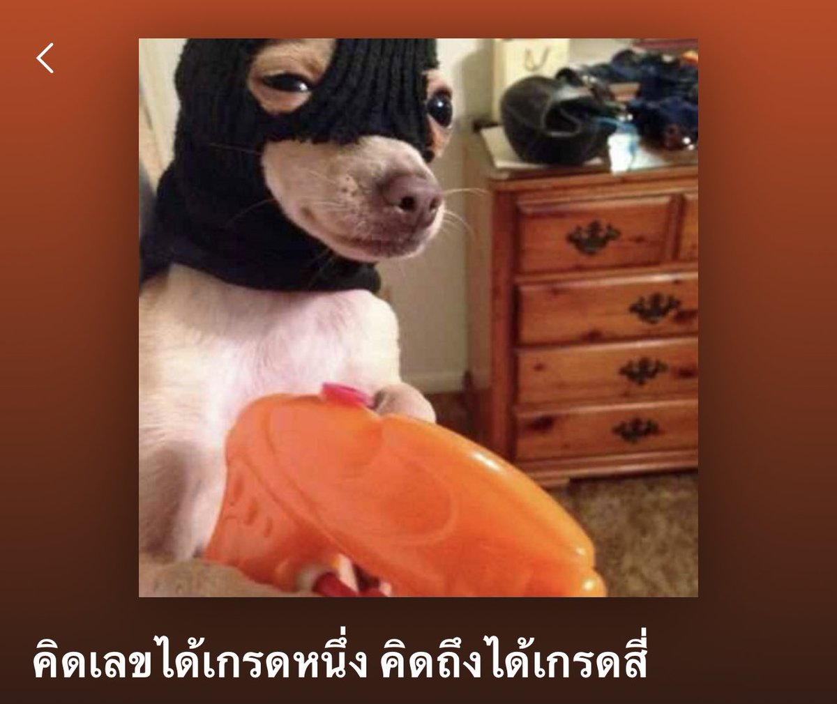 _musuri's tweet photo. https://t.co/AULdxZqDil