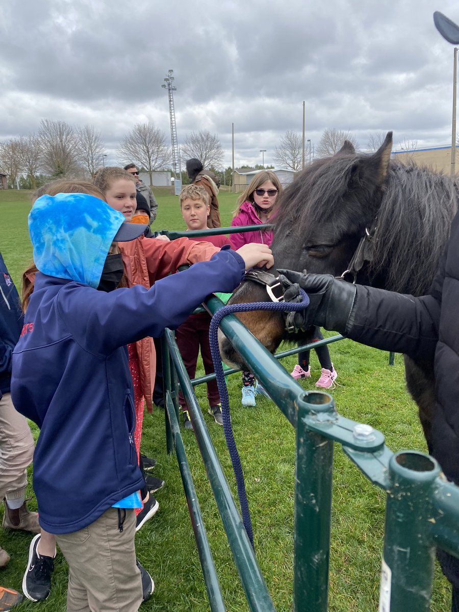 maddockLF's tweet photo. The grade 5s had the best morning meeting the Ojibwe Spirit Horses! ❤️🐴 such a great opportunity and wonderful learning experience for the students! @LittleFallsPS #OjibweSpiritHorses https://t.co/Ecr1n5QVPW