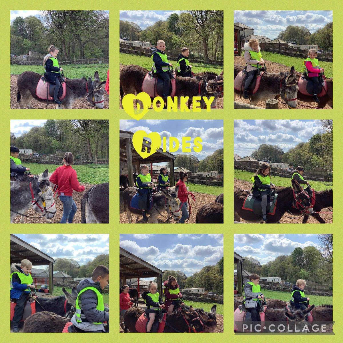 FairfieldPrim's tweet photo. Fun at the Farm….Part 2…. #parrots #funatthefarm https://t.co/ydSdyMKI82