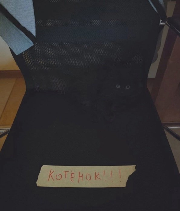 Котёнок!!!