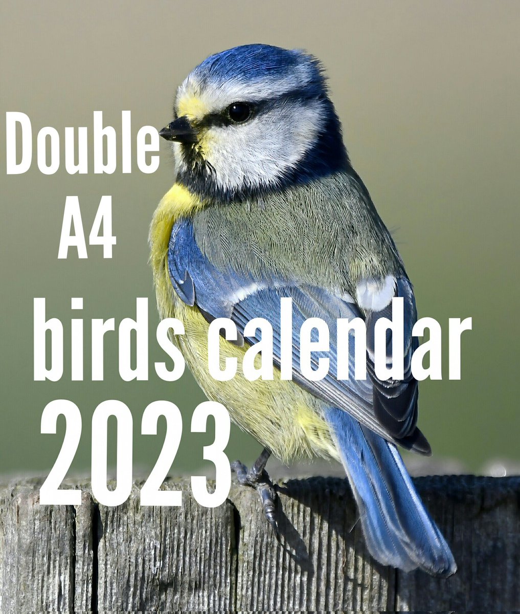 CarlBovisNature's tweet photo. My lovely followers, do you trust me?🙏
  You can now pre-order my 2023 Birds Calendars.😀
  They won't be available to ship until August, but if you buy now, you get 10% off by using the voucher code '2023Calendar' at checkout!😊
 You can buy them here
https://t.co/oTyvNuWrrk 🐦 https://t.co/nlvOnUw5Nc