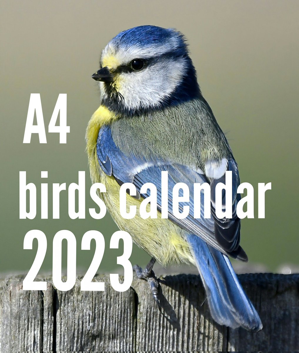 CarlBovisNature's tweet photo. My lovely followers, do you trust me?🙏
  You can now pre-order my 2023 Birds Calendars.😀
  They won't be available to ship until August, but if you buy now, you get 10% off by using the voucher code '2023Calendar' at checkout!😊
 You can buy them here
https://t.co/oTyvNuWrrk 🐦 https://t.co/nlvOnUw5Nc