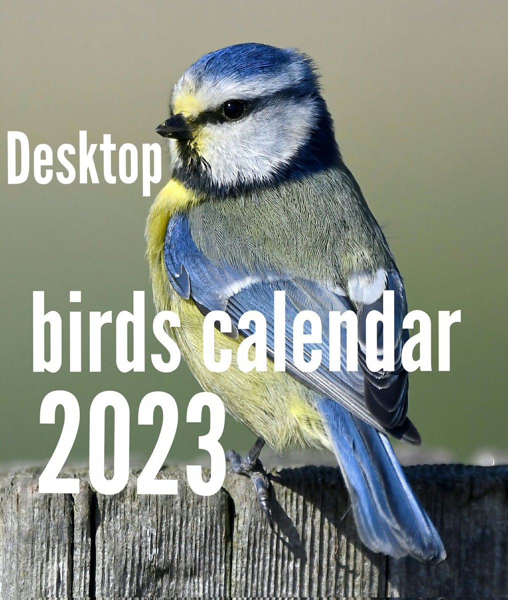 My lovely followers, do you trust me?🙏
  You can now pre-order my 2023 Birds Calendars.😀
  They won't be available to ship until August, but if you buy now, you get 10% off by using the voucher code '2023Calendar' at checkout!😊
 You can buy them here
carlbovis.com/2022-birds-cal… 🐦