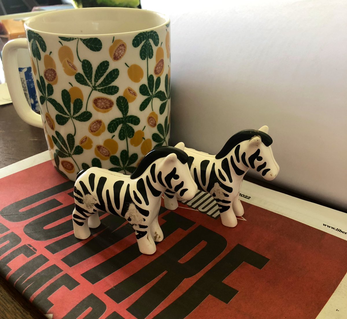 me_breakfast's tweet photo. Ils sont revenus au bercail 🥳🥳 #zebres on dirait l’incroyable voyage mais avec d’autres animaux. https://t.co/a4QkxAftEO