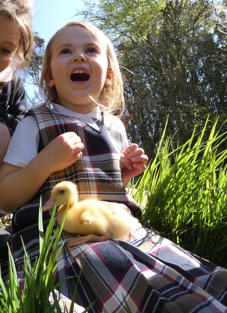 PrepRedhill's tweet image. Tweet Tweet 🐥 #Redhill