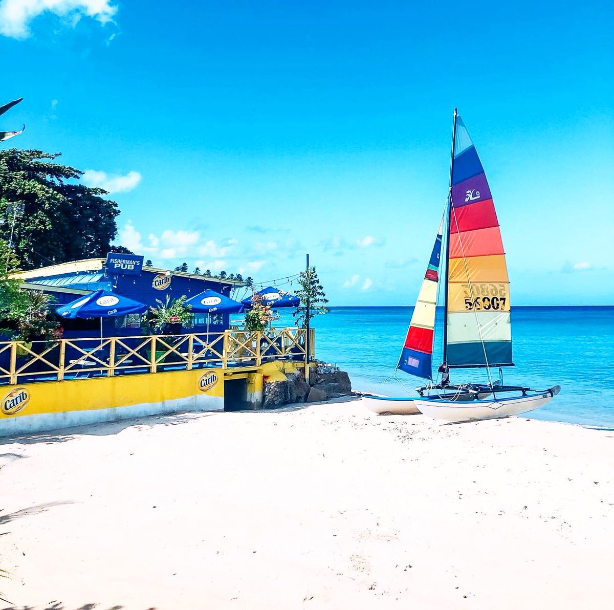 Barbados's tweet image. If someone asked you “which beach in Barbados stole your heart?”, what would be your reply? 

#VisitBarbados #LoveBarbados
