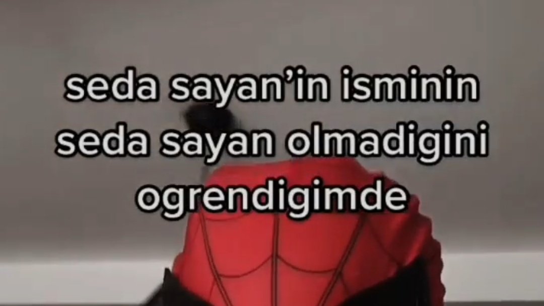 Ne demek seda sayan değil???