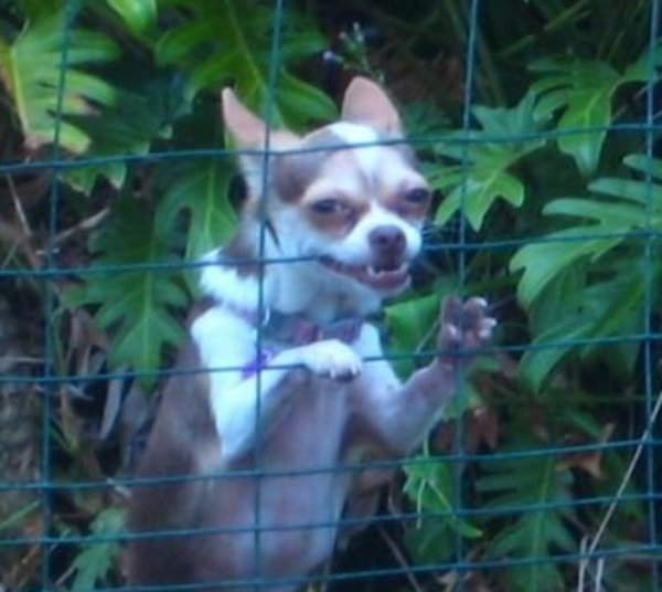 thinking about how haurchefant was such an ornery kid and had every right to be angry and it'd be understandable if he grew up jaded and bitter but instead he chose to be kind and good and noble... while loving a home that didnt love him back...