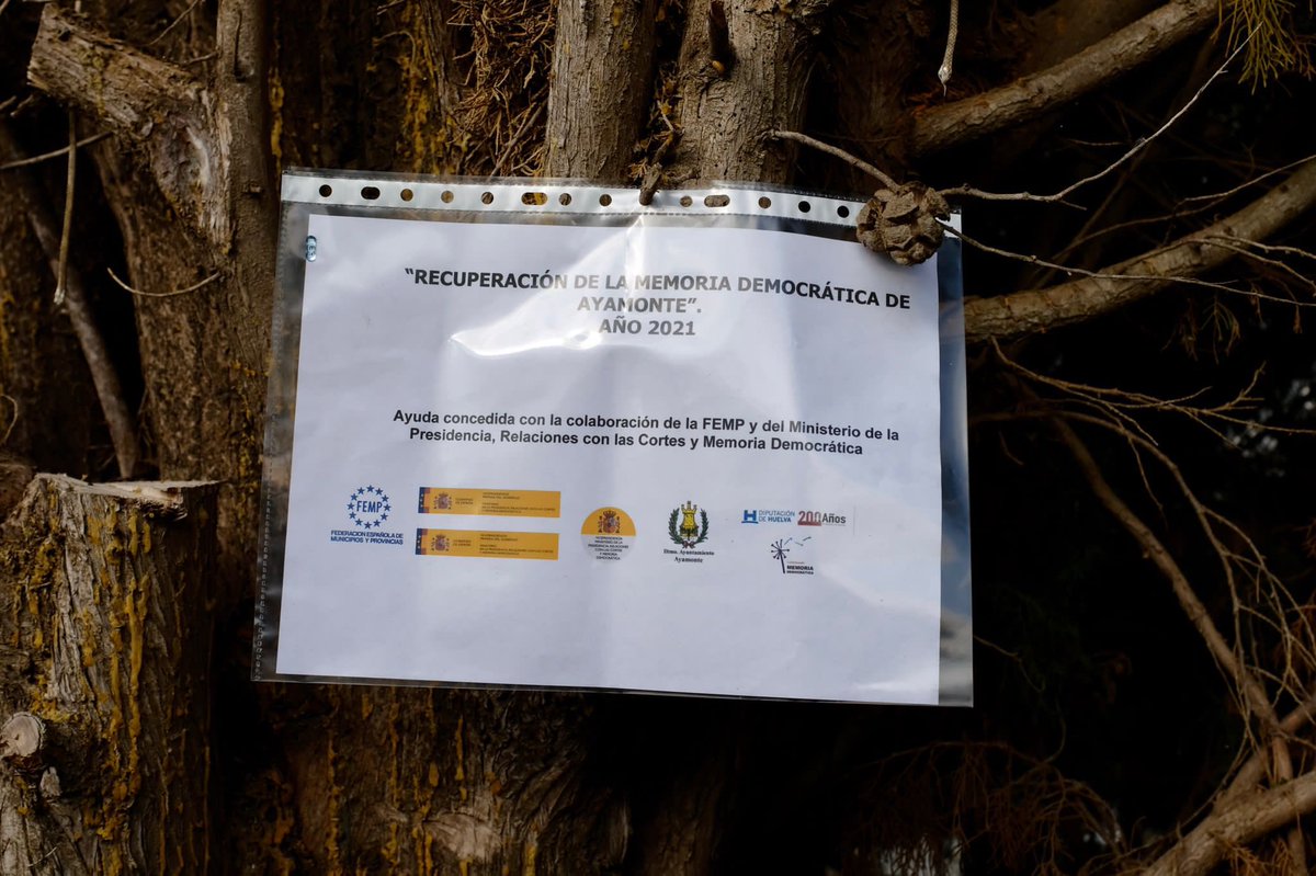 aytoayamonte's tweet photo. El Ayuntamiento de Ayamonte ha iniciado este martes los trabajos de catas para localizar y delimitar las fosas comunes de las personas asesinadas por el franquismo. #ReparacionMemoriaJusticia #MemoriaHistorica https://t.co/smputsqtKi