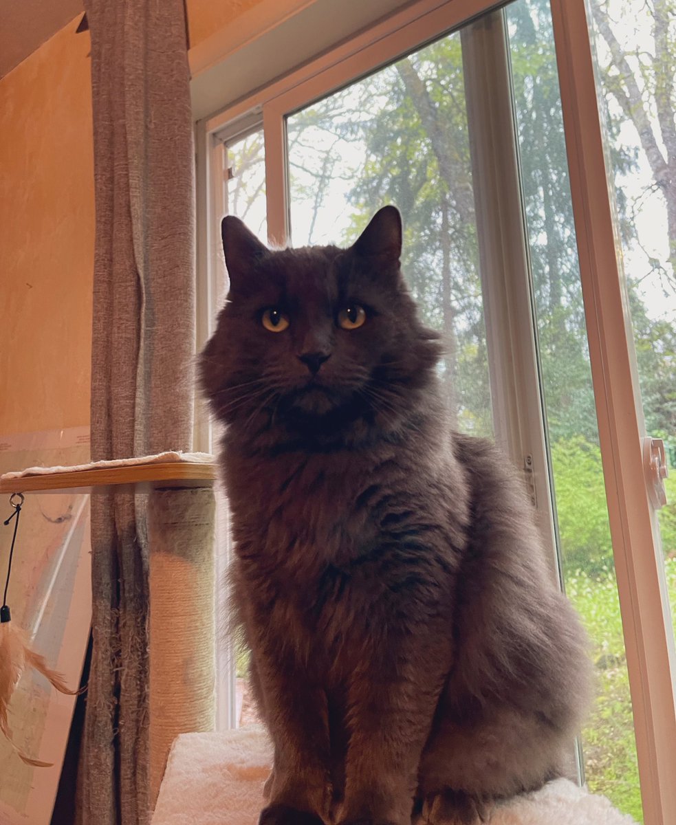 LukeFerrell's tweet image. 