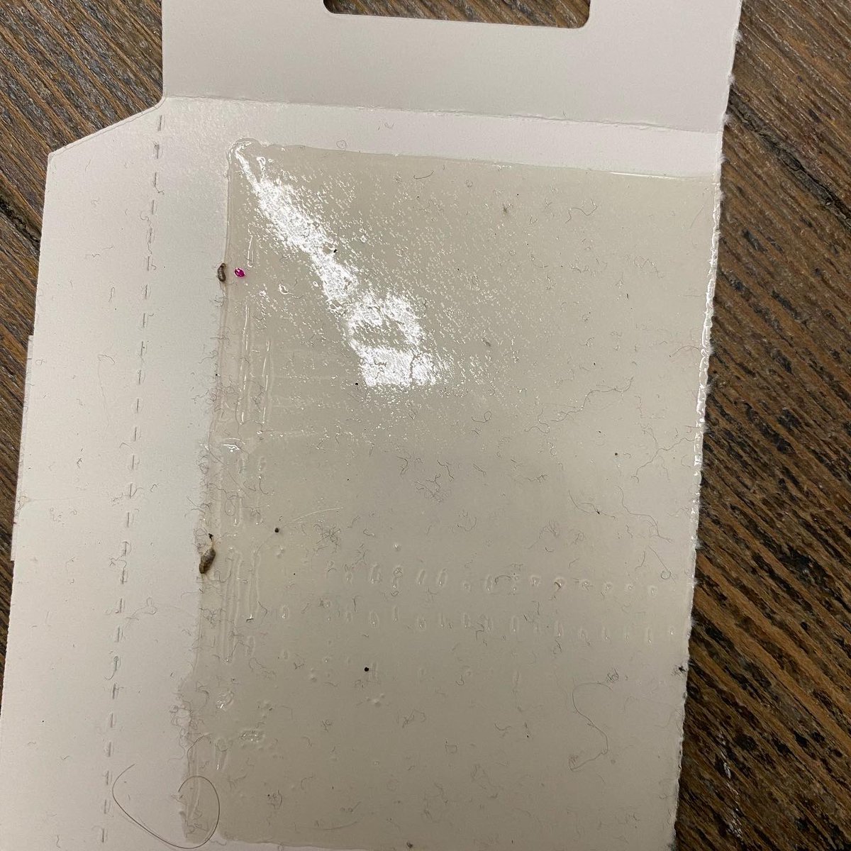 Museum Pests tweet media