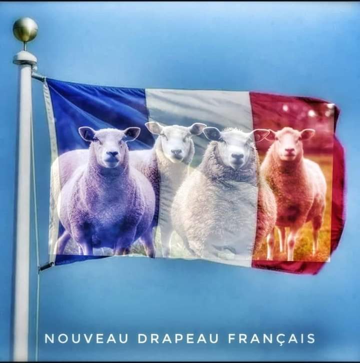 viazzi_fabien's tweet photo. Tout fraîchement élu
MACRON 1ER vient de changer le drapeau de nôtre république française
Pour remercier ses fervent électeurs https://t.co/qUnntVQTnF
