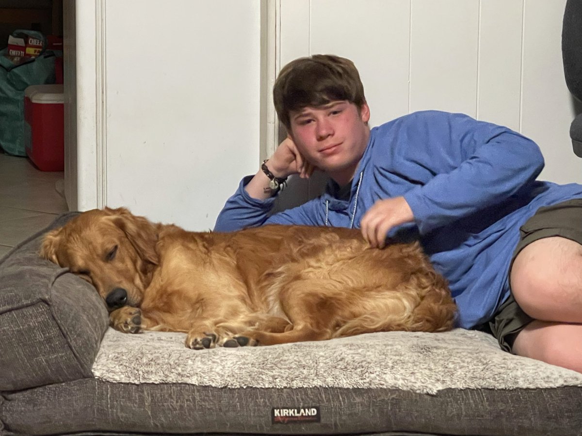 Day 26 (kids and pets) this is my uncle. I love to cuddle him. #dogs #GoldenRetriever #PhotoChallenge2022April