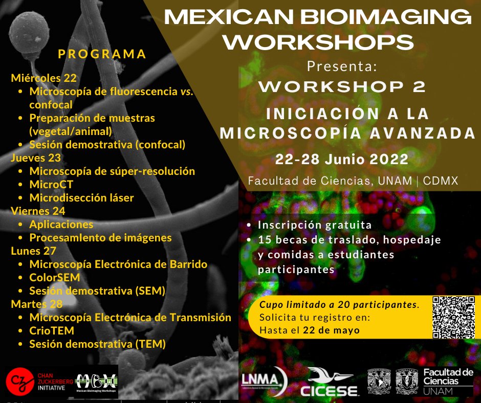 meximagingworkshops.org.mx
Abierta la convocatoria para nuestro 2do taller de microscopía #mexicanbioimagingworkshops #mexbioimaging #imagethefuture