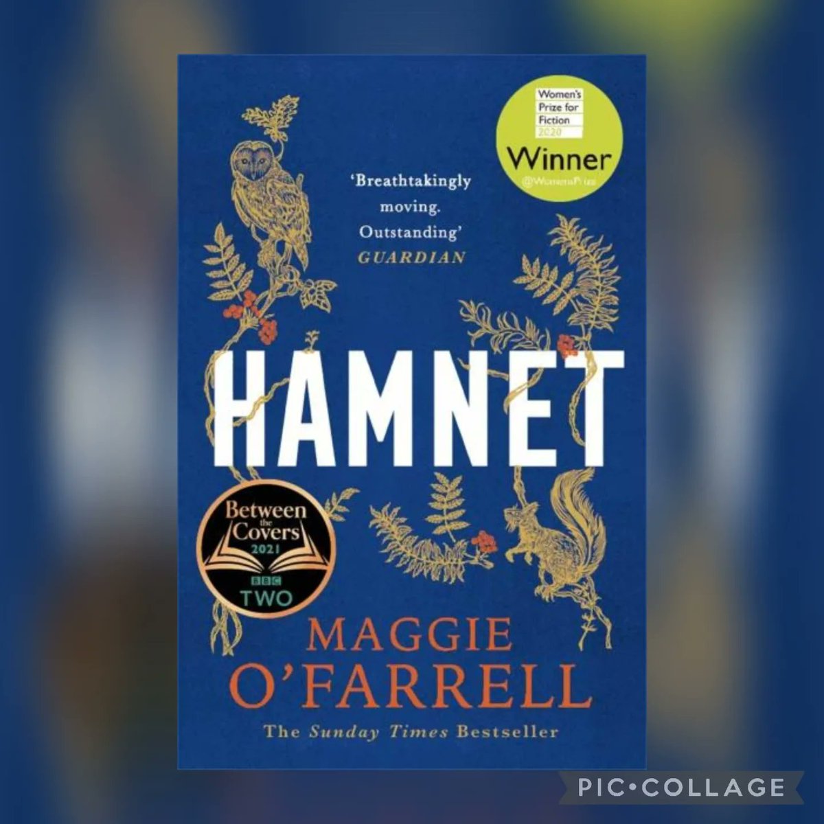 catsbennett's tweet photo. Read Irish Women Challenge 2022
Day 26 - Book featuring a woman from real life
Maggie O'Farrell's amazing Hamnet is a fictionalised account of the death of Shakespeare's young son, central to this is Agnes/Anne - Shakespeare's wife.
#hamnet #maggieofarrell #tinderpress #RIWC22 https://t.co/Z4cQBRERr5