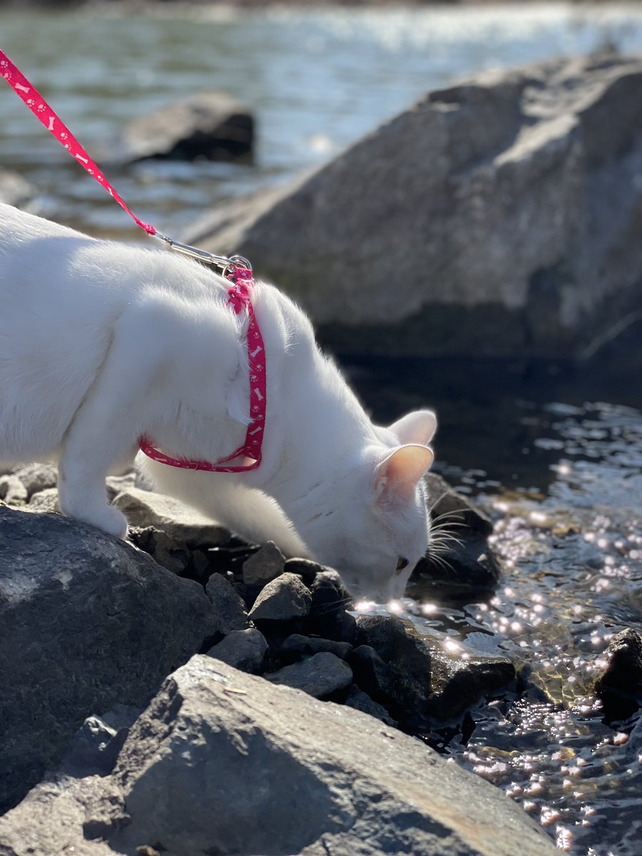 Daria Malyar tweet media