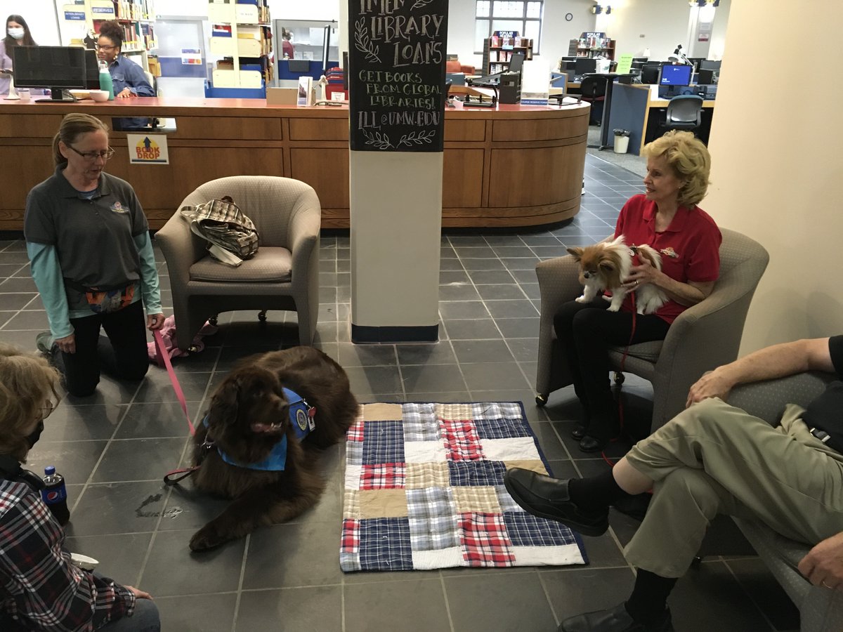 simpsonlibrary's tweet photo. Prince Pierre Lafont &amp; Bella invite you to stay dry and take a moment to relax with a #therapy dog .  They are in Simpson Library till 5pm today, maybe later....... https://t.co/jJEl3SsVIr