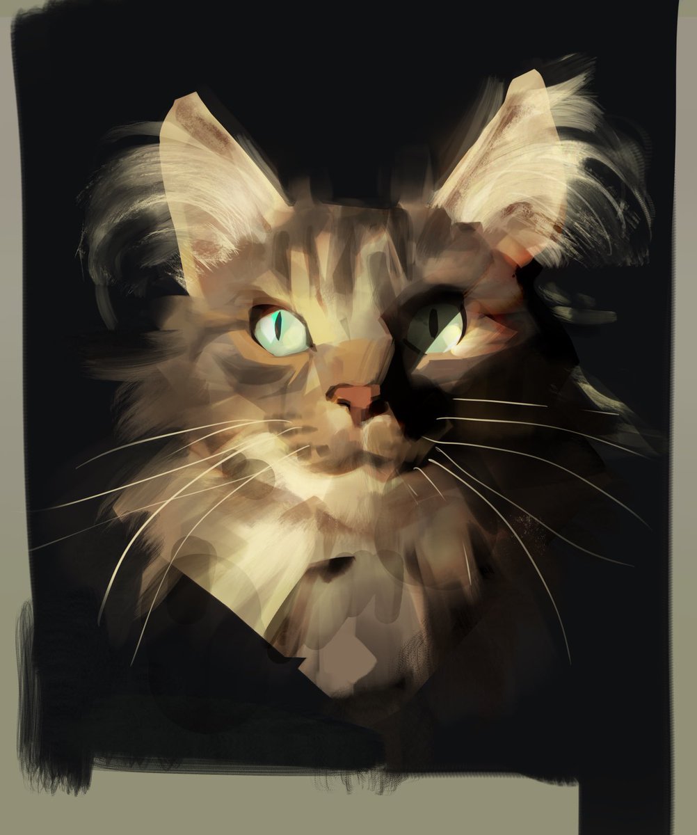 「cats 👍 」|thomas mahonのイラスト
