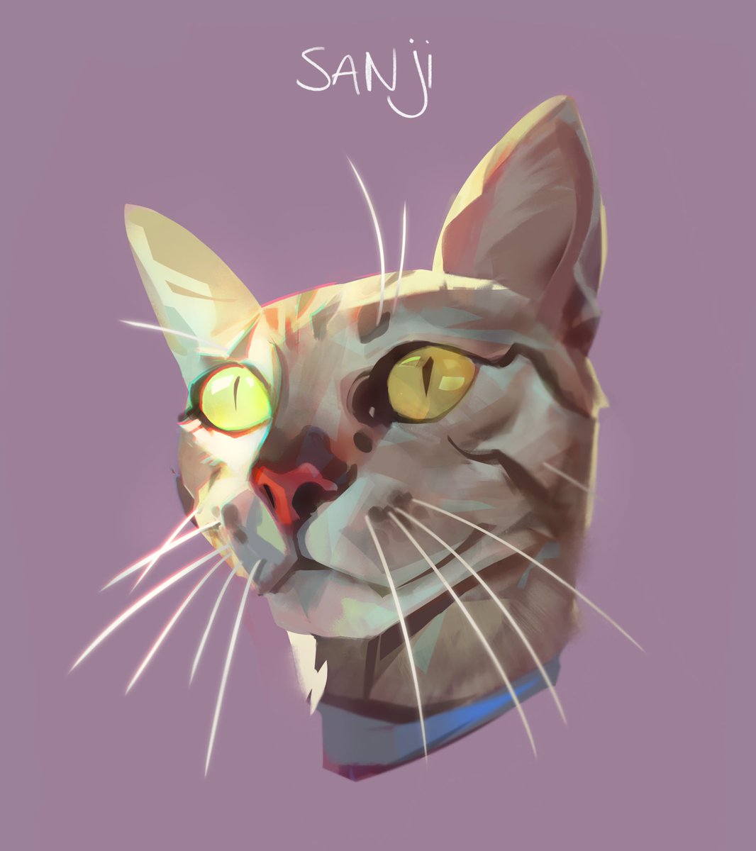 「cats 👍 」|thomas mahonのイラスト