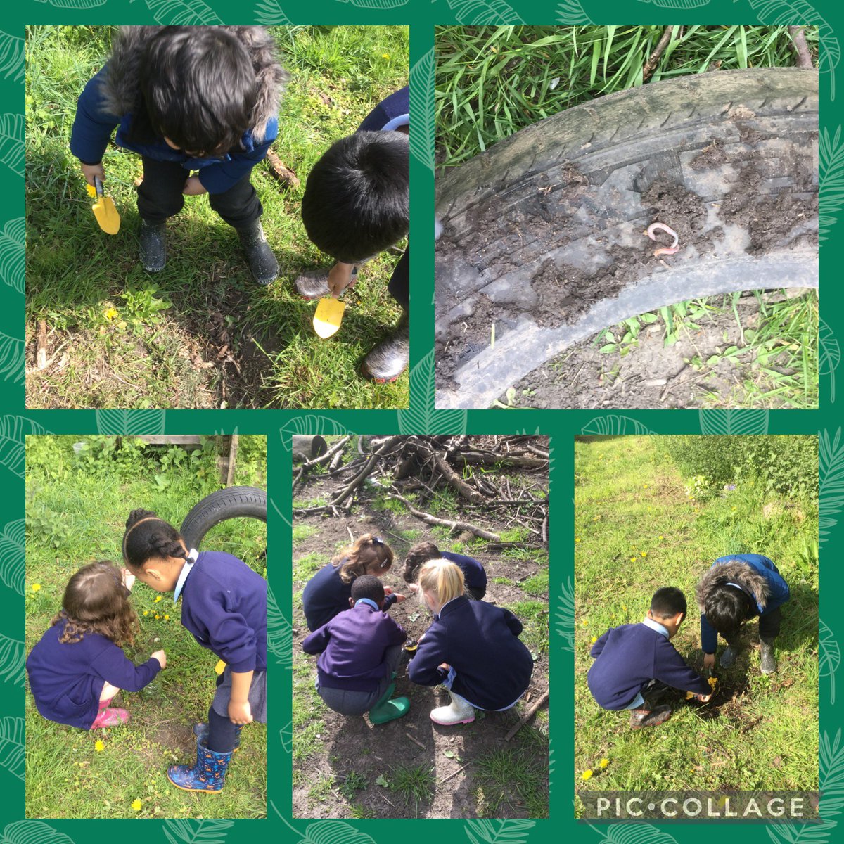 wcp_schoolEYFS's tweet photo. #earlyyears had a busy morning hunting for worms. We found long ones, baby ones, juicy ones but no yucky ones. We decided we LOVE worms! #yuckyworms @clpe1 #wcpsenglish #powerofreading #outdoorlearning 🪱 🪱 🪱 https://t.co/cmCwxJ84qv