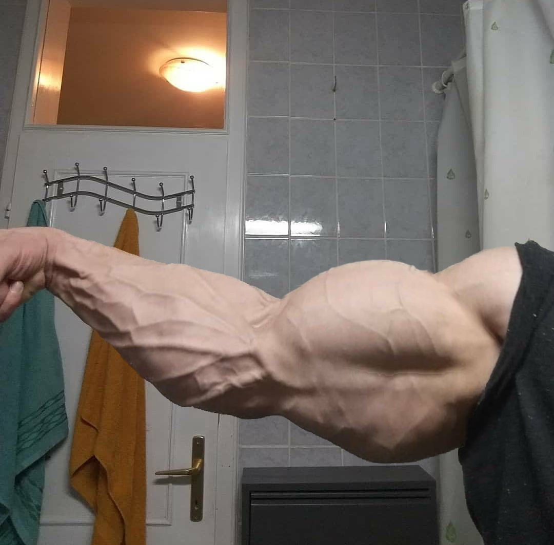 galzarmorphs's tweet photo. #MuscleMorph woohoo! https://t.co/u4QA06Xup3