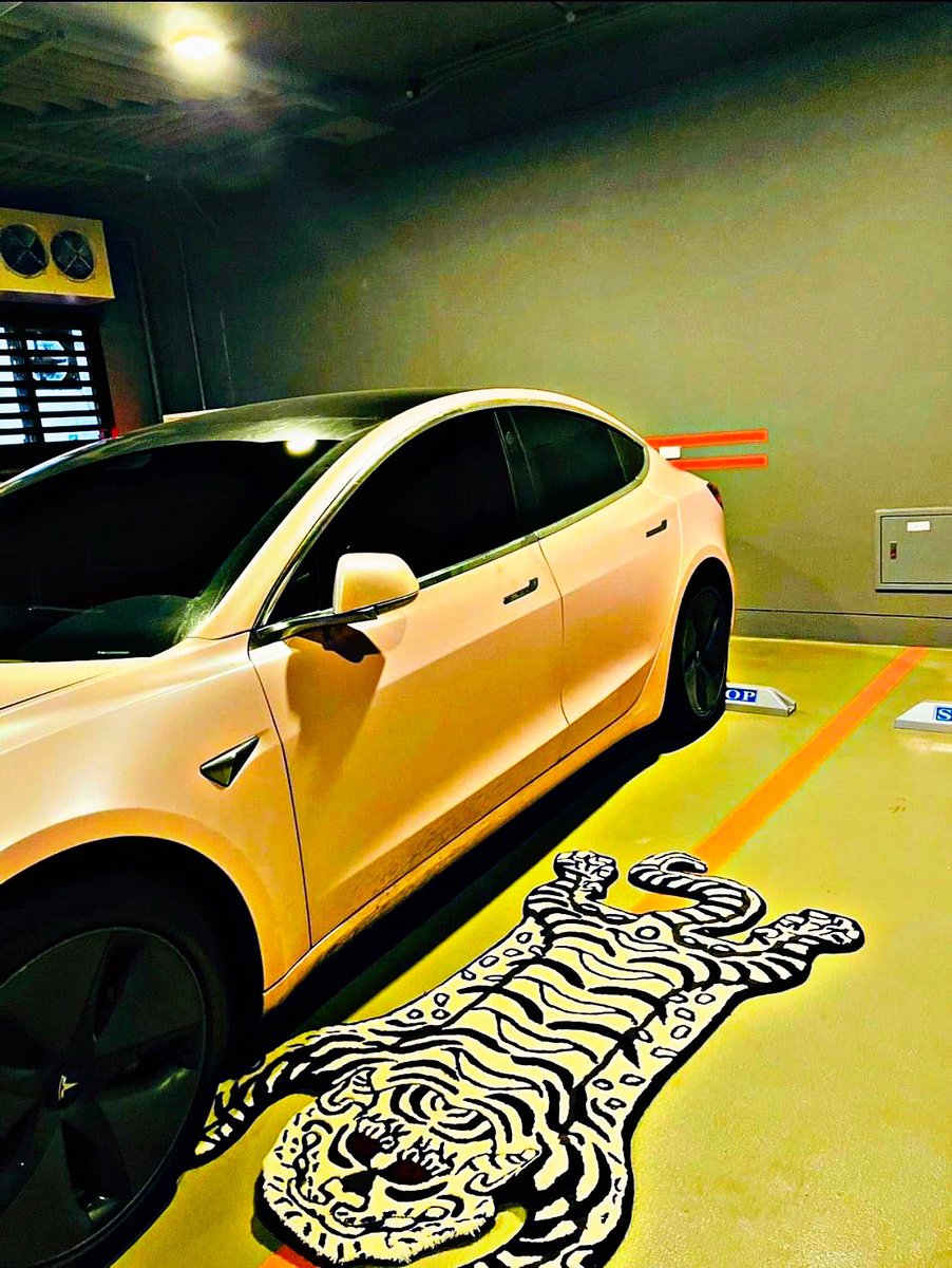 <a href="/elonmusk/">Elon Musk</a> 🌪🌪🌪🌪🌎🌎🌎🌎
Check this Out💥💥💥💥💥 🐯🐯#ElonMusk #ElonMuskBuyTwitter #tesla #Model3 #PinkMoon #makerugsforfun #makerugs4fun #rug #rugs <a href="/FaZeRug/">Rug</a> #Tibetan #tibetantiger #tibetantigerrug #YearOfTheTiger