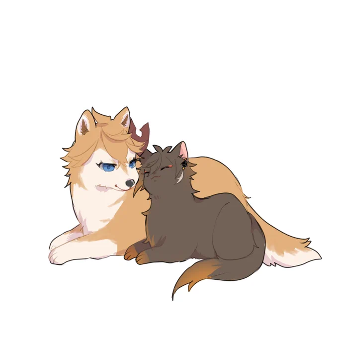🐕と🐈 