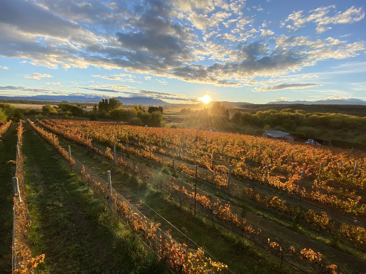 GONCHA354's tweet photo. Explorando nuevos terruños por #patagonia @NantDel viñedos únicos y nuevas interpretaciones de un lugar mágico @gobiernochubut @TurismoTreveli1 hay vino y mucho por descubrir https://t.co/4egXoVPtnh