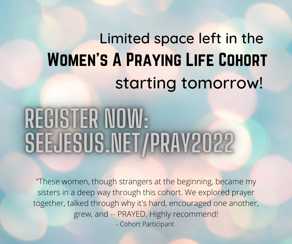 On the fence about a cohort? The groups starting this week have a few spots left. Take the plunge - you'll be so glad you did! seeJesus.net/pray2022