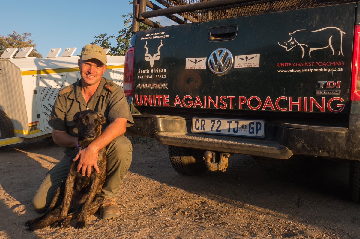 Poaching-is-bad tweet media