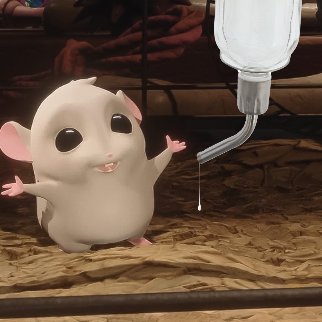 ROHamsters's tweet photo. GM! Starting this morning with a cuppa warm milk...
How about you?
#Roborovski #RoboJournal https://t.co/oSElWcKBix