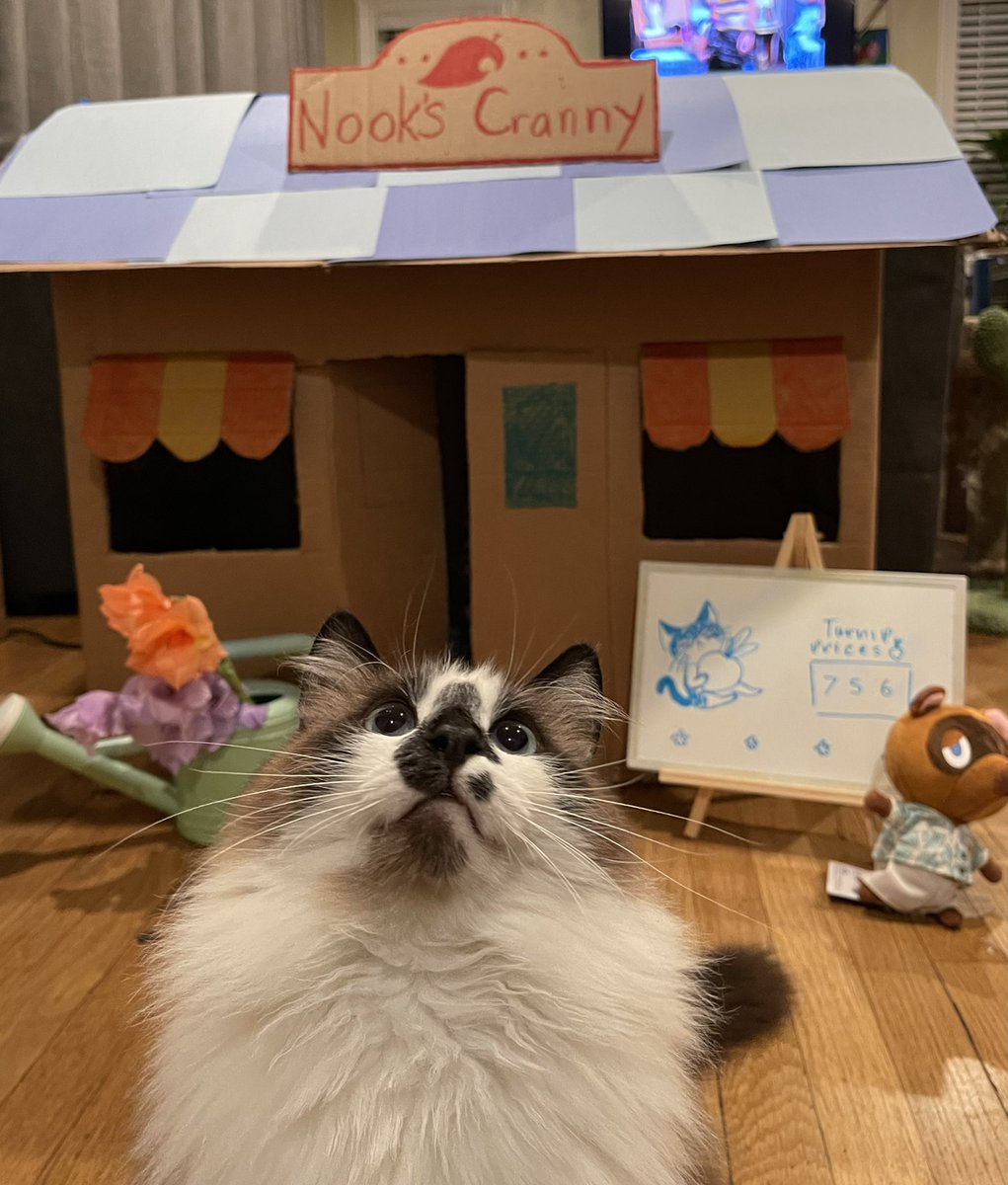 #PhotoChallenge2022April
Day 26:  #NationalKidsAndPetsDay 
We love spending time with our young hoomans. We have fun playing with them and they are so creative. Last year they made us this Animal Crossing box house! 
#CatsOfTwitter #cats #TunaTuesday