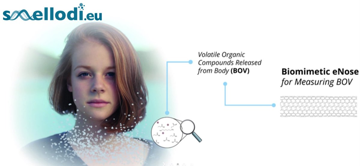 🧵🔝SMELLODI: Smelling the Future 👃
#SMELLODI (Smart Electronic Olfaction for Body Odour Diagnostics) is an EIC Pathfinder Open funded project that aims at the smart electronic recognition and transmission of body odors, paving the path for a new era of digitizing olfaction.