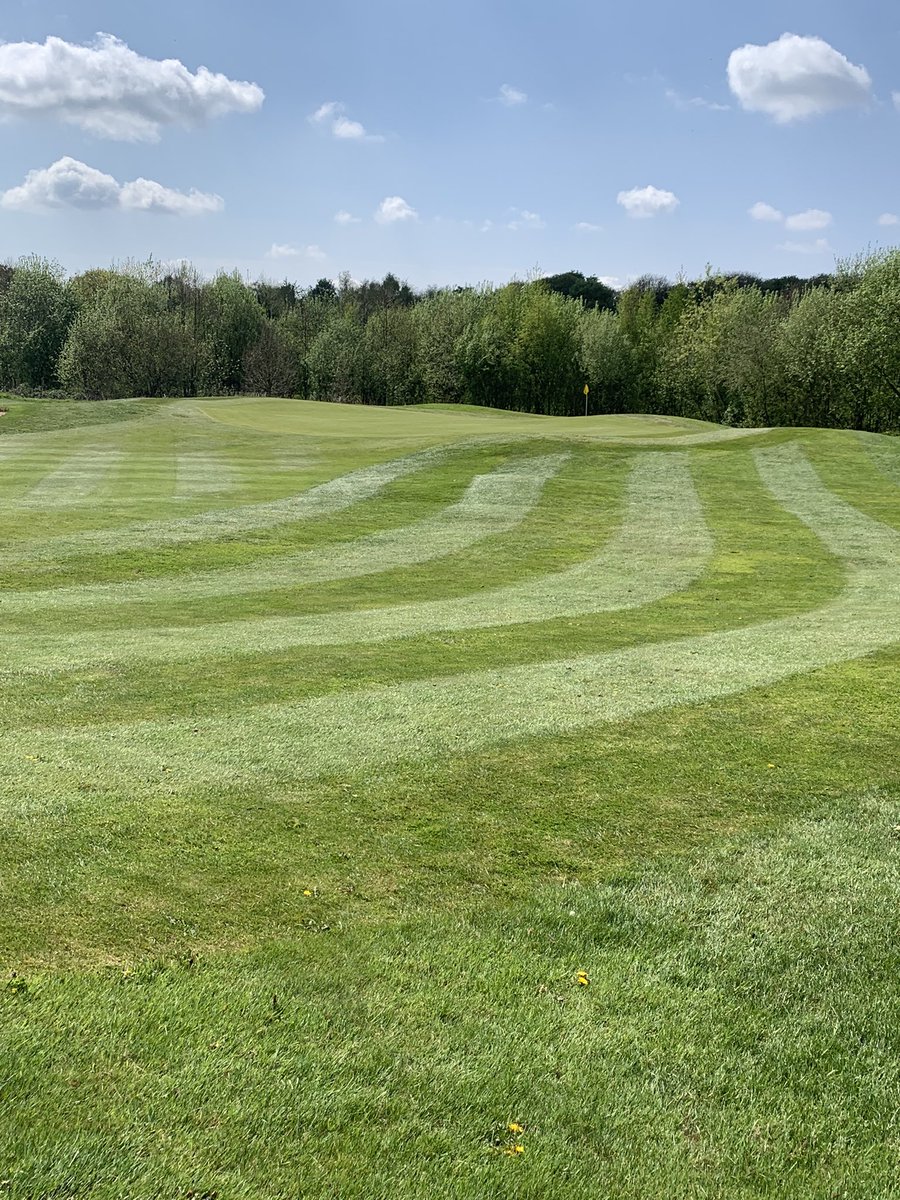 nick swift tweet media