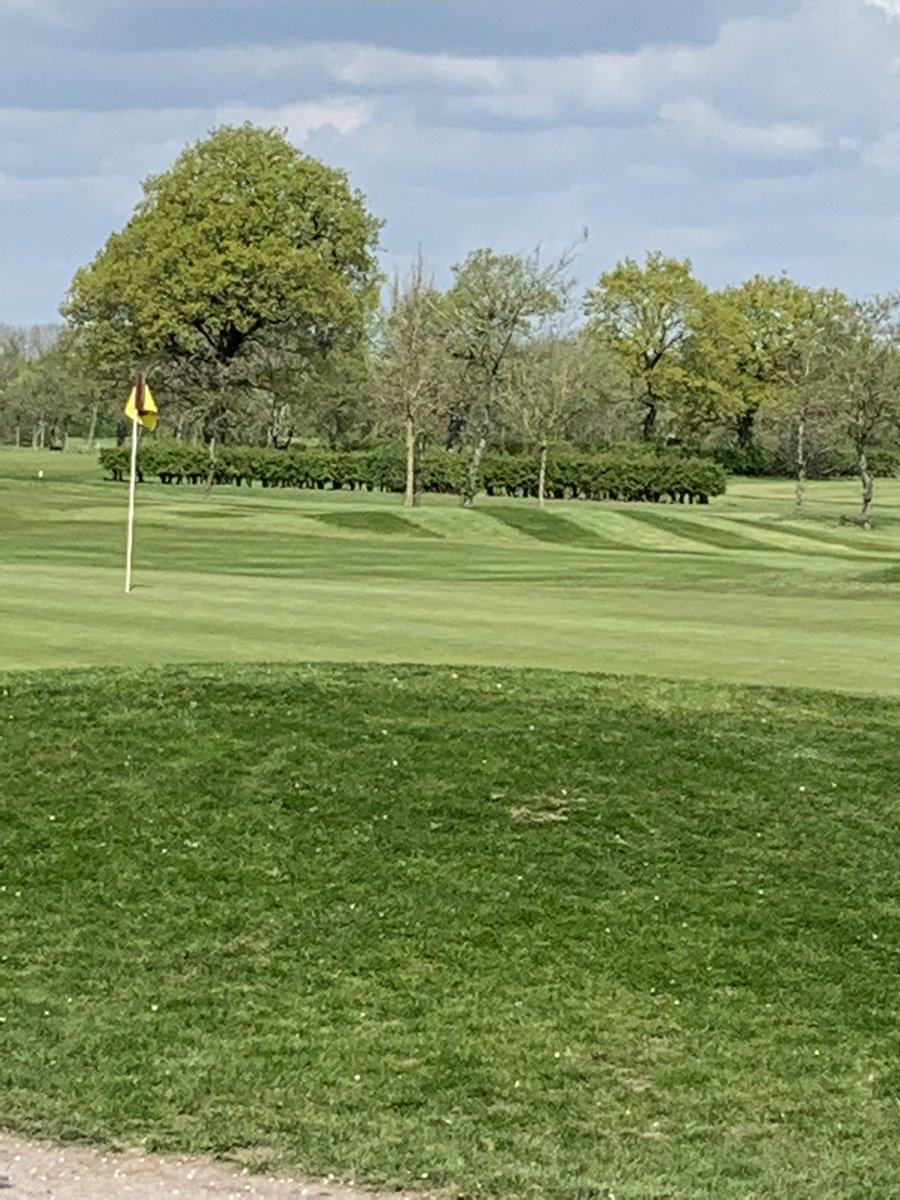 nick swift tweet media