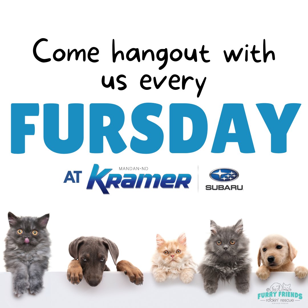 KramerAutomoti2's tweet image. 🐾 FURSDAYS are the best, and we want you to come hang out with us! Join us every Fursday at our sister location #KramerSubaru to meet a furry friend from @Furryfriendsrockinrescue!

Take a look at our inventory or schedule your service appointment: 🖥️ bit.ly/3gVEMRH