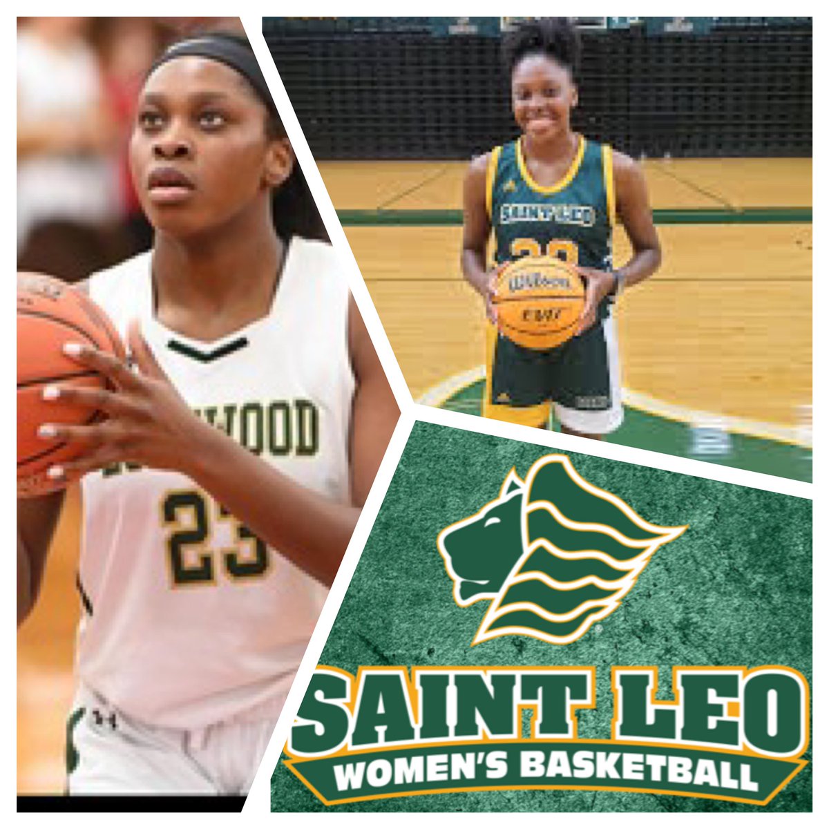 LI Renegades tweet media