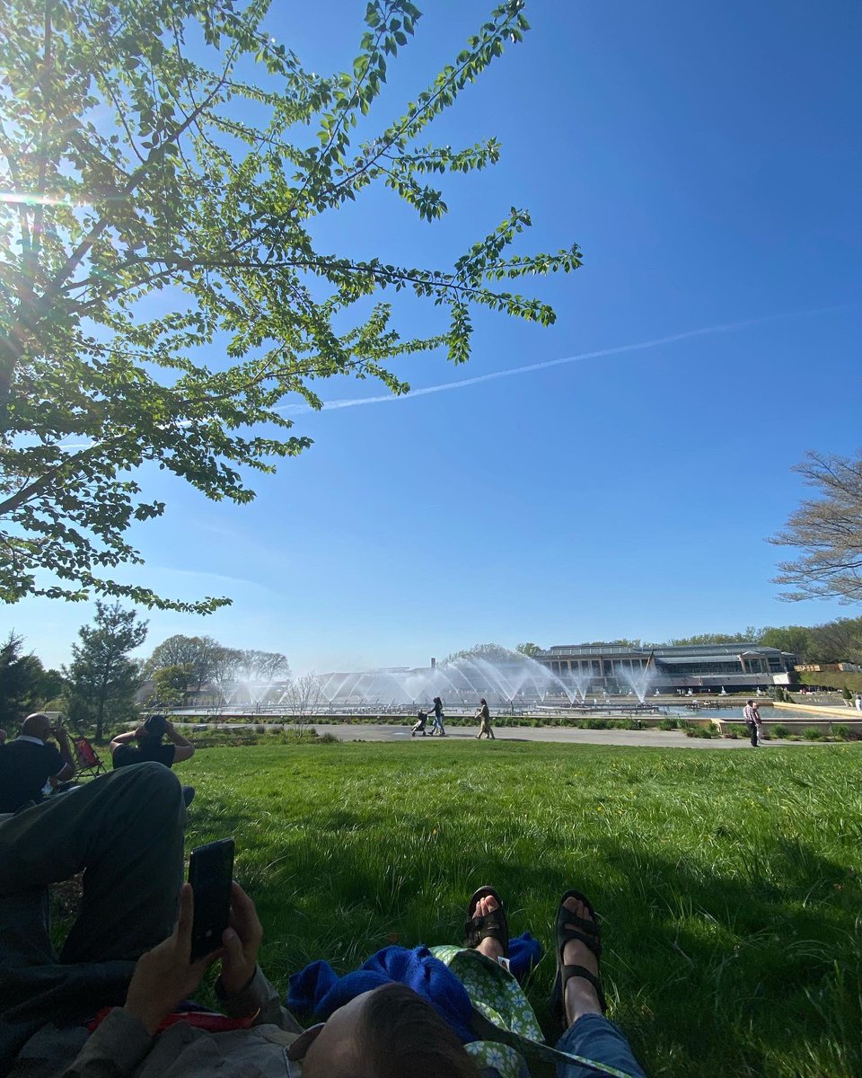 In more pleasant news I went to Longwood gardens as an early birthday present with a sweetie (after having wanted to go for years!) and I was tired but it was good. I also found me as an orchid so, y’kno, wins all around